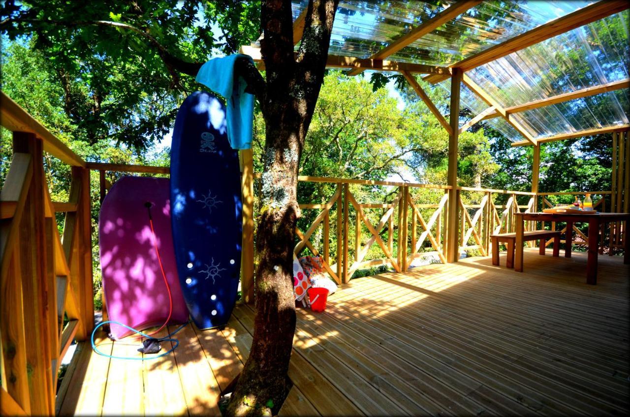 Village Nature Et Ocean A Cote De La Plage Avec Piscine Et Jacuzzi Messanges  Exterior photo