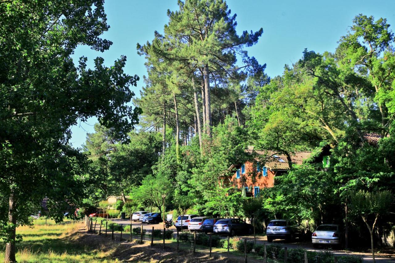 Village Nature Et Ocean A Cote De La Plage Avec Piscine Et Jacuzzi Messanges  Exterior photo