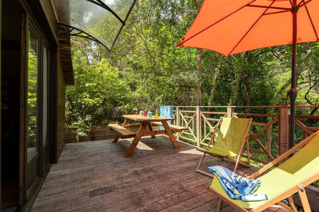Village Nature Et Ocean A Cote De La Plage Avec Piscine Et Jacuzzi Messanges  Exterior photo